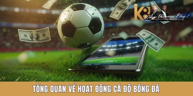 Cá Độ Bóng Đá Trực Tuyến Cực Chất Lượng Cùng Nền Tảng K8 Tổng quan về hoạt động cá độ bóng đá