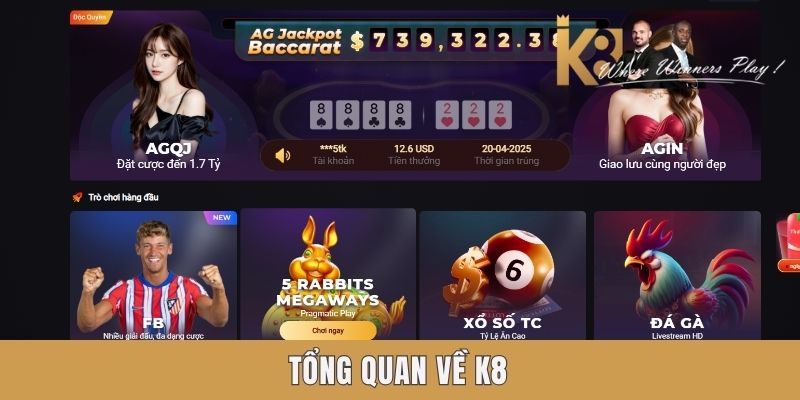 K8 | Nhà cái cá cược xanh chính, link đăng nhập mới nhất Tổng quan về K8